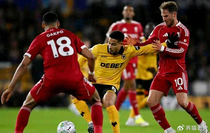 开云-利物浦补时崩盘，裁判争议难掩进攻“便秘”之痛|狼队|体能|萨拉赫-叶海亚|科迪·加克波|球队_新浪体育_新浪新闻